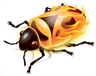 firebug firebug